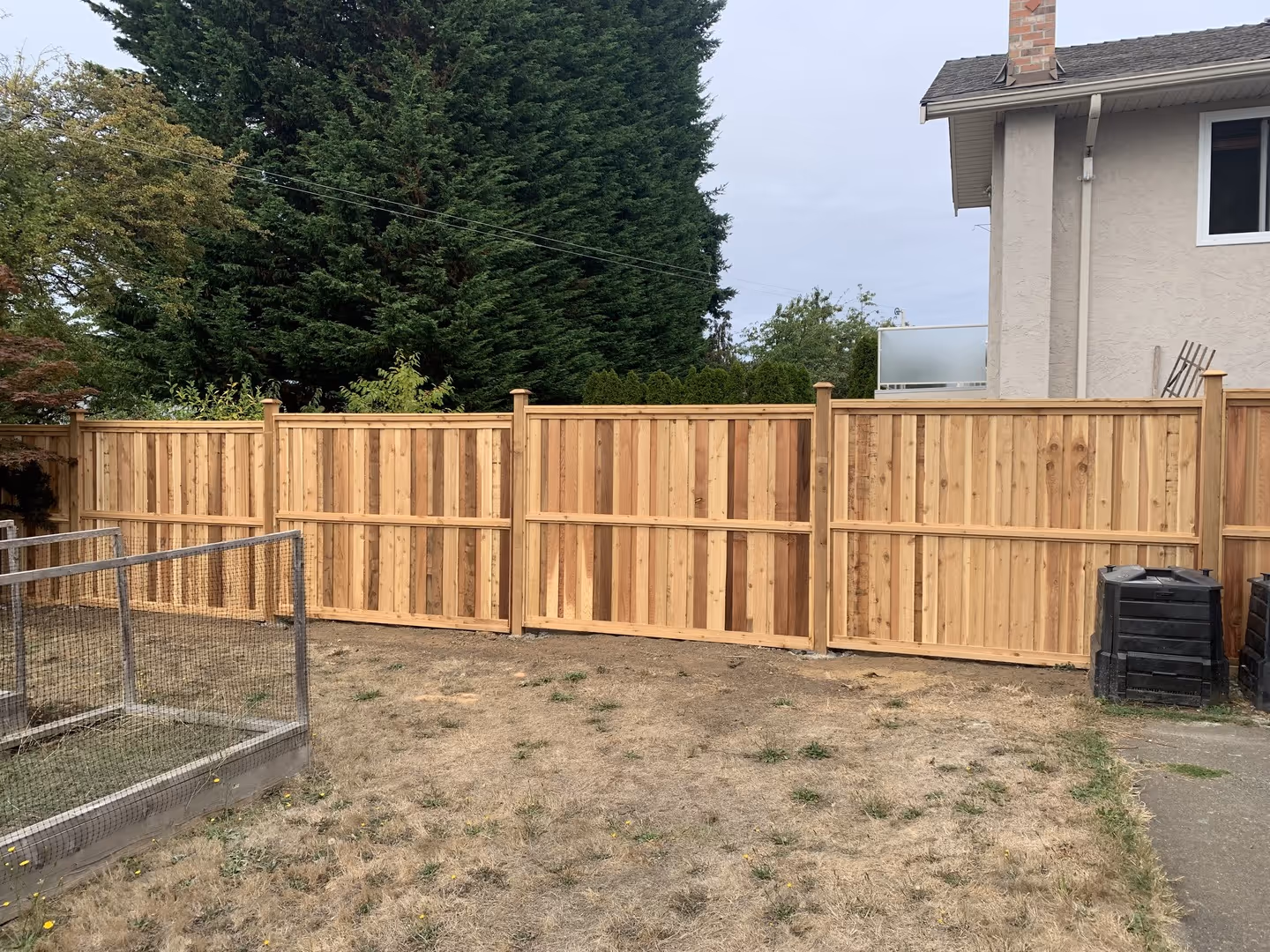 Backyard with a new wooden privacy fence beside a house and tall trees