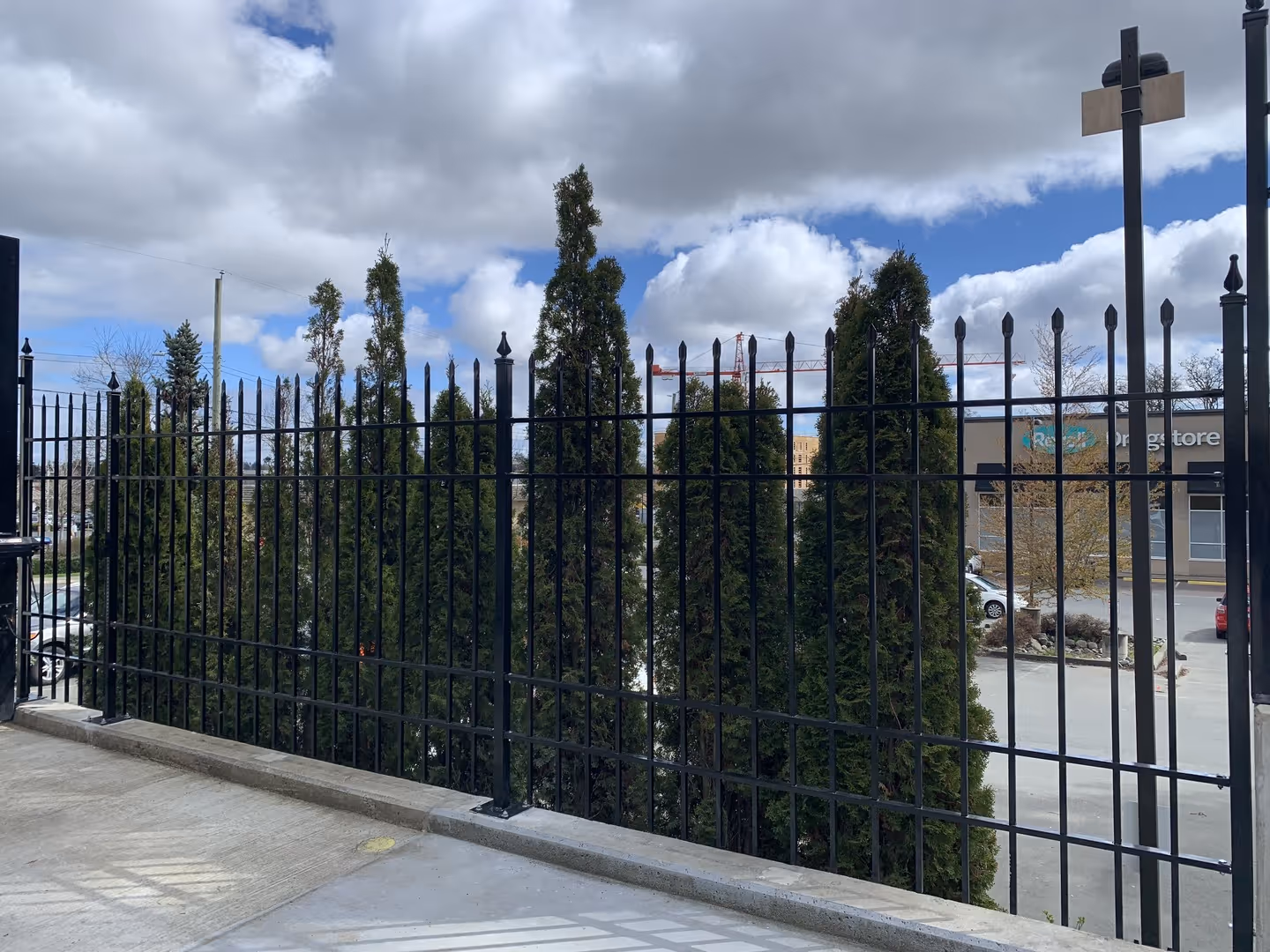 Black metal fence with pointed finials in front of tall evergreens by a parking lot.