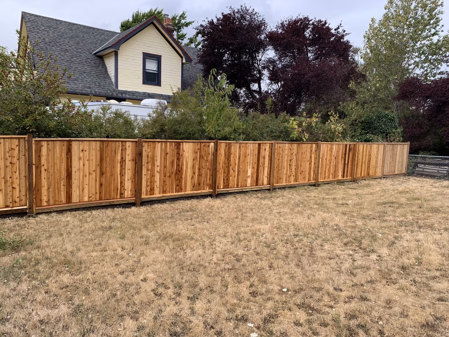 Cedar privacy fence bordering a yard with dry grass, shrubs, and a house in the background