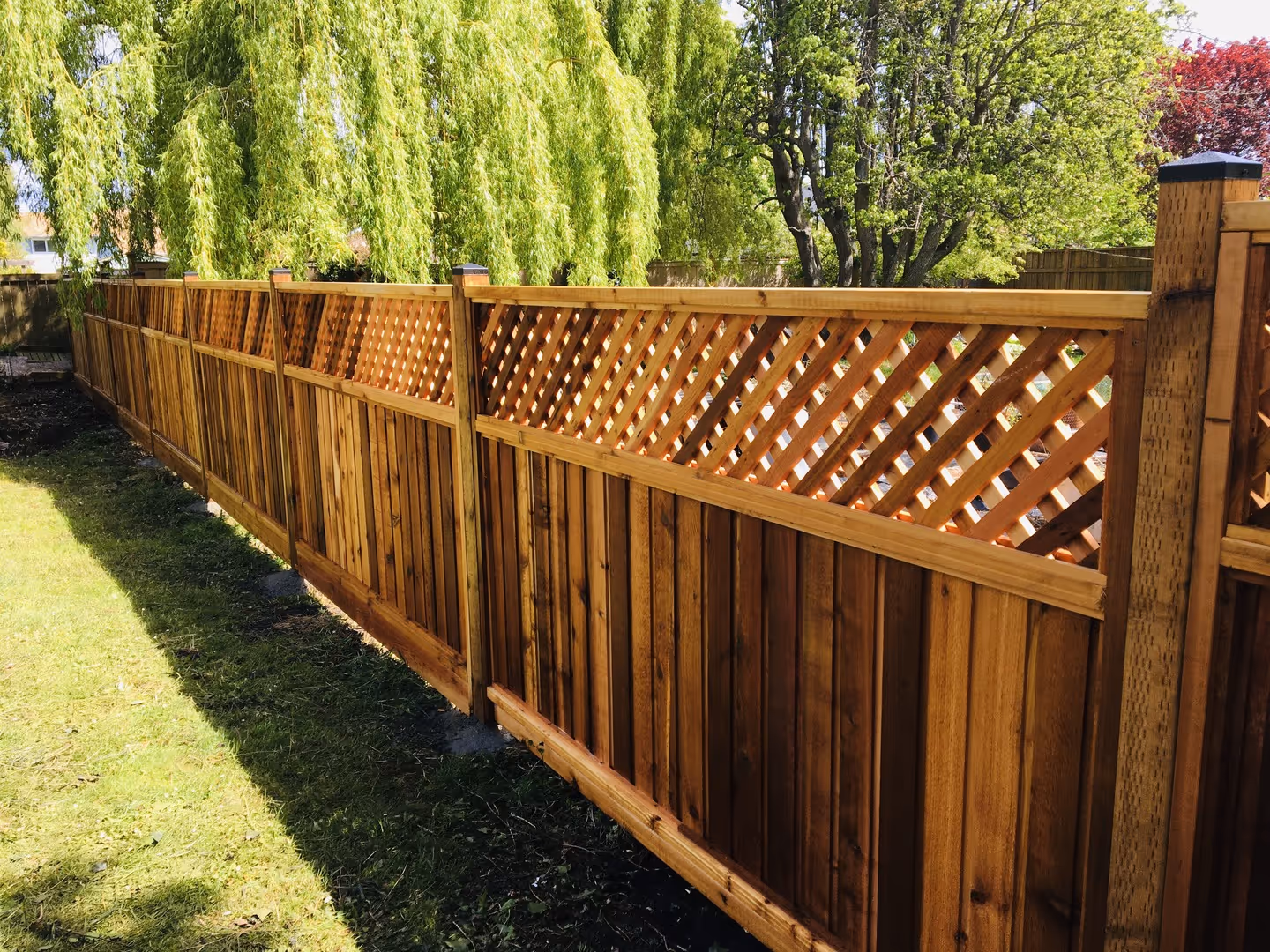 Lattice-top cedar privacy fence bordering a sunny backyard beneath a weeping willow.
