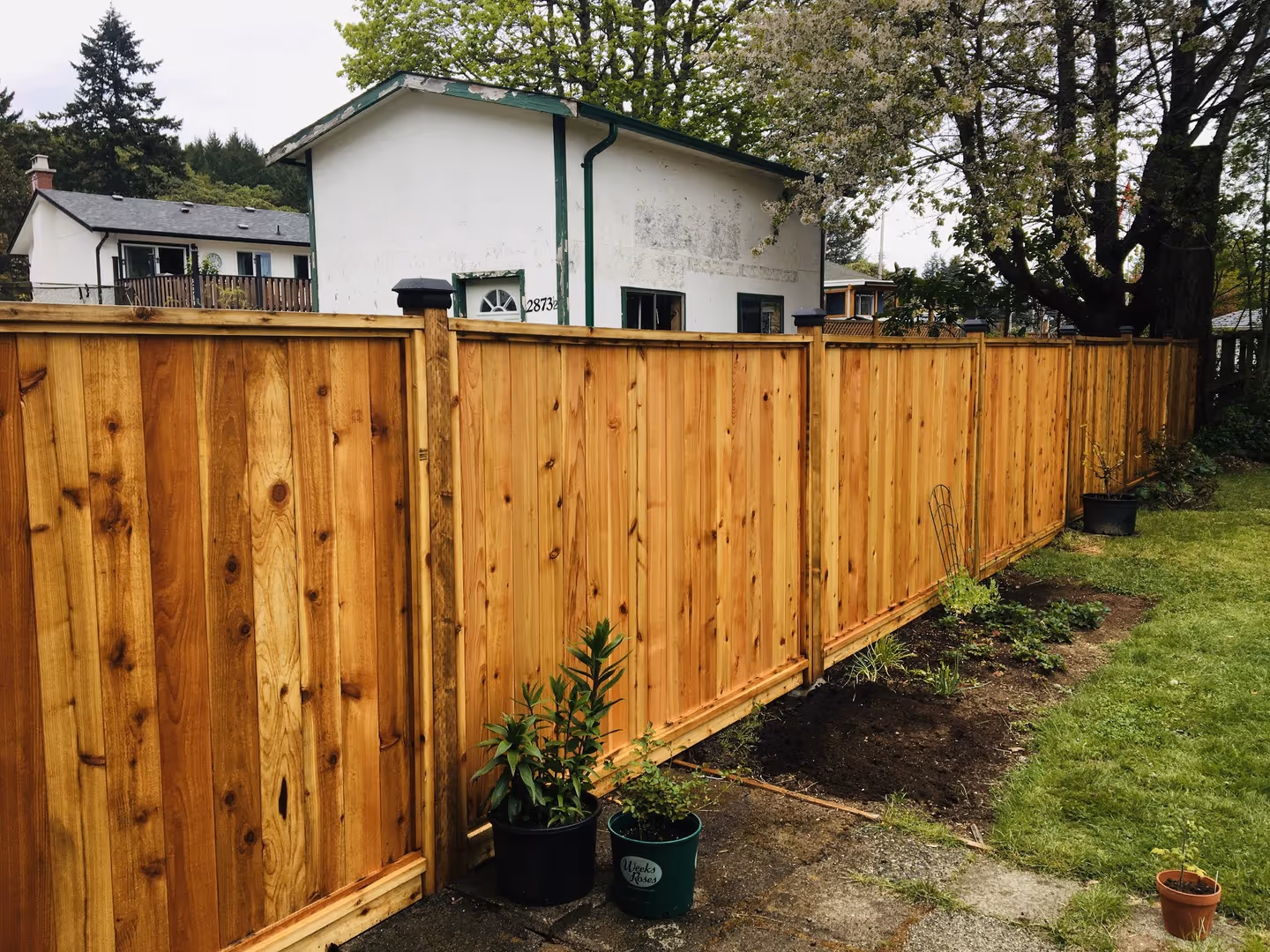 New cedar privacy fence along a backyard garden beside a white house