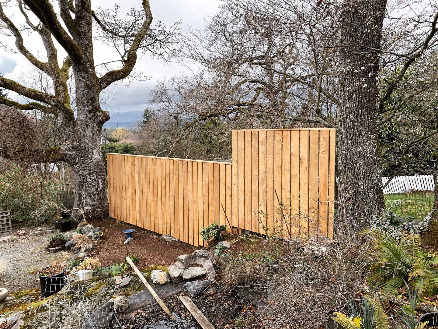 Wooden privacy fence with stepped panels between large trees in a backyard garden.