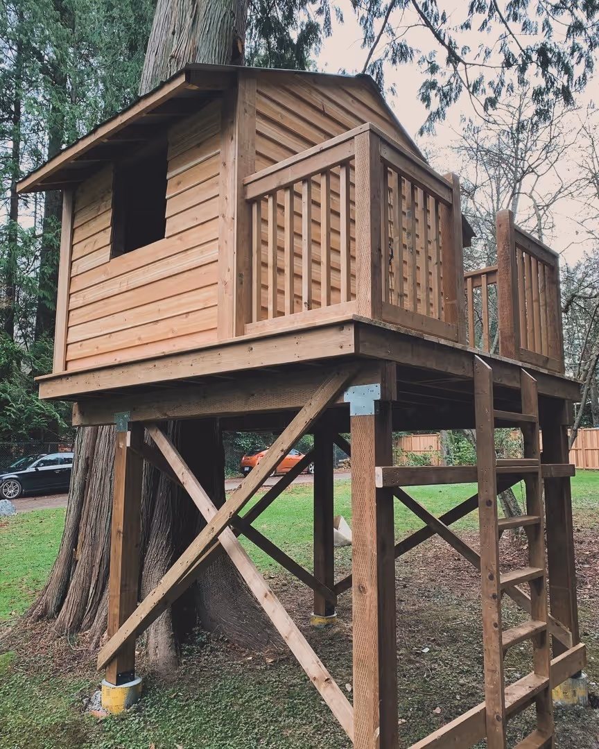 Wooden treehouse on stilts with ladder and small deck beside a large cedar tree.